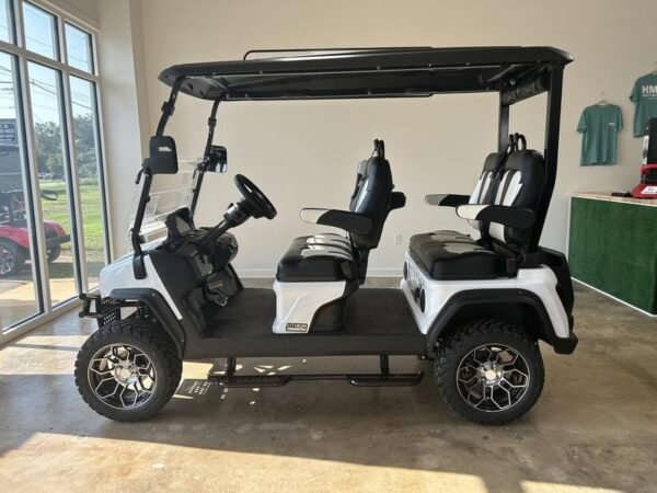 2024 Evolution Electric Vehicles D5-Maverick 4