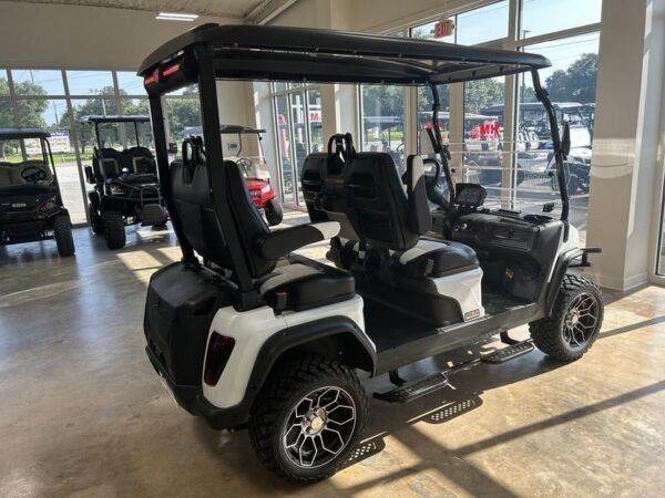 2024 Evolution Electric Vehicles D5-Maverick 4 - Image 4