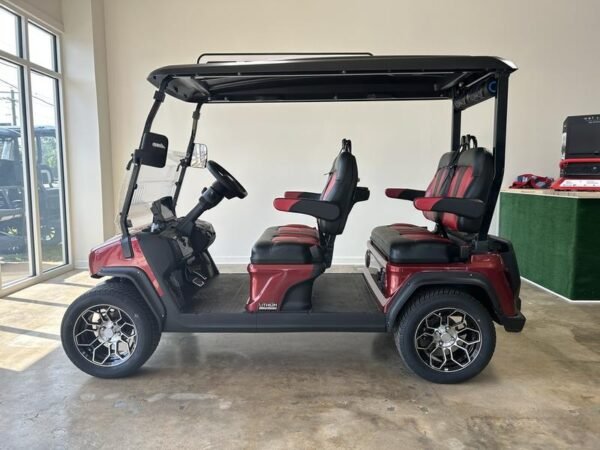 2024 Evolution Electric Vehicles D5-Ranger 4